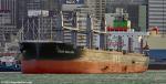 ID 14106 NORSE NAKAJIMA (2025/IMO 9986257/26272gt/42462dwt) - delivered by her Chinese builders Tsuneishi Shipbuilding on 1 August, the Panamanian-registered bulk carrier sails from Auckland bound for New...